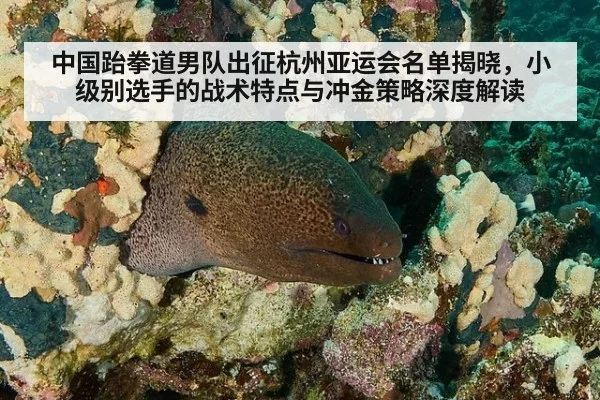 中国跆拳道男队出征杭州亚运会名单揭晓,小级别选手的战术特点与冲金策略深度解读